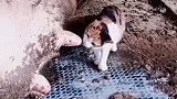 瞧把猫给冻的，把自己都给点着了