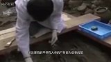 考古专家最怕在古墓发现“鸡蛋”，没人敢去碰，谁碰谁是历史罪人