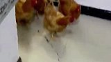 大妈赶一群鸡上电梯，各个膘肥体壮