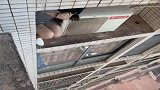 江西一女子蹲17楼窗外逼婚男友：要么120直接送我去尸房！