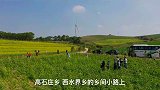 山西平鲁，油菜花开胜江南山西平鲁油菜花海