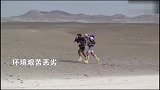 挑战人类极限！马拉松运动员徒步11天250公里穿越秘鲁荒漠