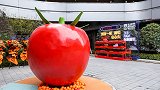 场景思维打造Z世代全方位社群生活体验场