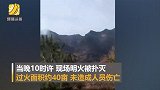 甘肃森林火灾明火已扑灭 过火面积约40亩无人员伤亡