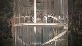 耗资200万打造的全透明树屋，贫穷限制了我的想象，你敢住吗