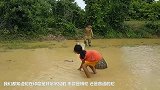 印度街头表演：用针缝蛇嘴300针 蛇咋吃东西？