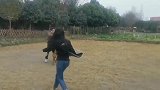 小奶狗, 就你这小身躯还想训练我, 看招