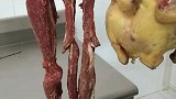 风干牛肉风干鸡，火山上面赚火力！第四天了