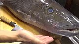 日本渔民的终极美食，20斤马头鱼，切成鱼片蘸黄油吃，味道鲜美