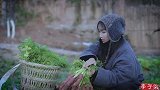冬天的橘子树，稍不留神就“长出了”萝卜干！