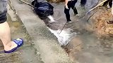 好不容易看到大鱼,差点打起来了,真是太疯狂了