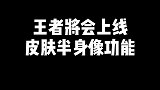 后续将会推出皮肤半身像功能