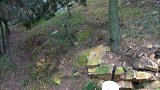 团长追杀逃犯未果 海匪也没能逃出他的法眼