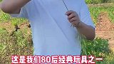 小时候没有玩具，就只有去田间地头找玩的