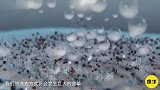 智能清洁洗衣棒，超声波去污只需10秒，随身携带还可USB充电