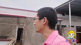 去网友家看鸽子，一进门就看上这对好鸽子，大家看看是啥好鸽子