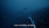 国外发明新型“口罩”，能从水中获取氧气，堪称潜水神器