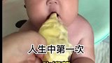 人类幼崽第一次吃榴莲