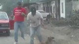 比特犬发狂咬人，同伴举起“大石头”开砸，镜头记录惨烈一幕！