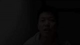 手养玄凤鹦鹉到啦！蠢萌蠢萌的，我的小心脏都要被萌化了！