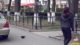 脚下搞笑，我还以为是个真的，国外街拍恶作剧