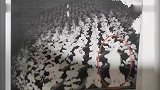 【湖南】安葬师因债务缠身盗窃骨灰 欲敲诈老东家被判刑