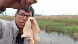 用七星漂钓龙虾，小黑哥真会玩