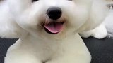 都说发第二遍会火