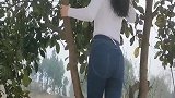 偷摘橘子被发现