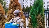 原来小区里的绿化，是这样做的