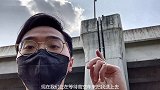高架巨猫：救我一命，少吃一顿火锅！