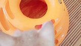 这东西能让猫咪玩一天，你家猫主需要它