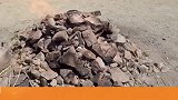 你们这样对待火山真的好吗