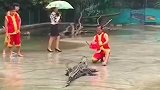 怎么我也被吓了一跳，一时分不清谁吓的谁了