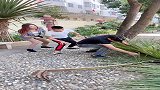 这鱼够大的呀！