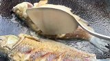 鲫鱼裙带菜汤，营养丰富，汤鲜味美，小朋友一定要多喝哦