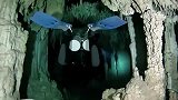 旅游-Camone 夜潜探险 猎奇 潜水视频 Diving