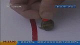 英国蜗牛参加“赛跑” 3分钟爬完30厘米夺冠