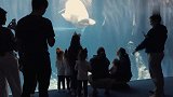 五胞胎完全沉浸在水族馆的乐趣中无法自拔，让人羡慕的快乐时光