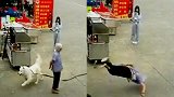 老人被狗绳绊倒身亡 专家：涉事女孩不构成犯罪但有民事责任
