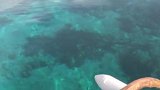 锡基霍尔岛私人海域海钓浮潜、深潜可咨询