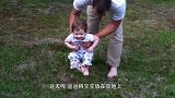 爸爸将宝宝放在草地上，接下来发生的画面，看完不准笑