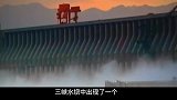 三峡大坝惊现“巨型水怪”，专家捕获上岸后竟然是这个