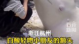 白鲸轻吻小朋友的额头  网友：闭眼睛一瞬间太暖了！治愈系
