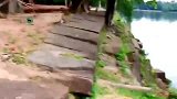 母猴内讧，打落水中还不放过，真狠