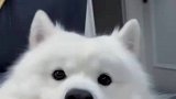 无凭无据你可不要乱讲话