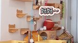 本来正在录卢卡说话，万万没想到