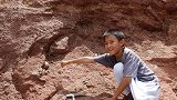 小学生游玩意外发现恐龙蛋：距今约有6500万年