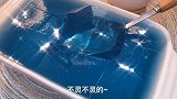 给大家做一个自制蓝色果冻，方法很简单，味道很好！