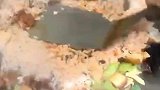 各种串串炒饭你吃过吗网友：看着挺好吃，但是好像不是很卫生啊